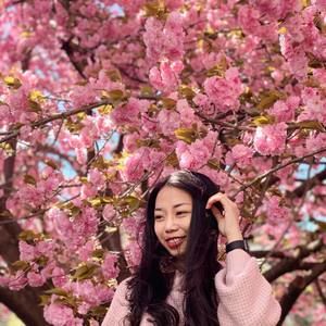 Meet your Posher, Dinh